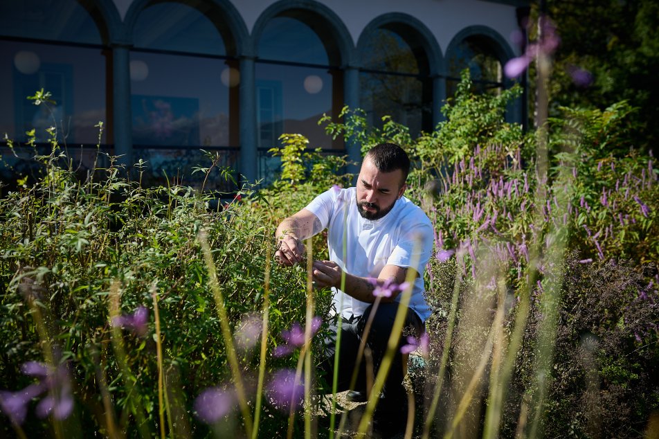 blog villa emden joao antunes im garten