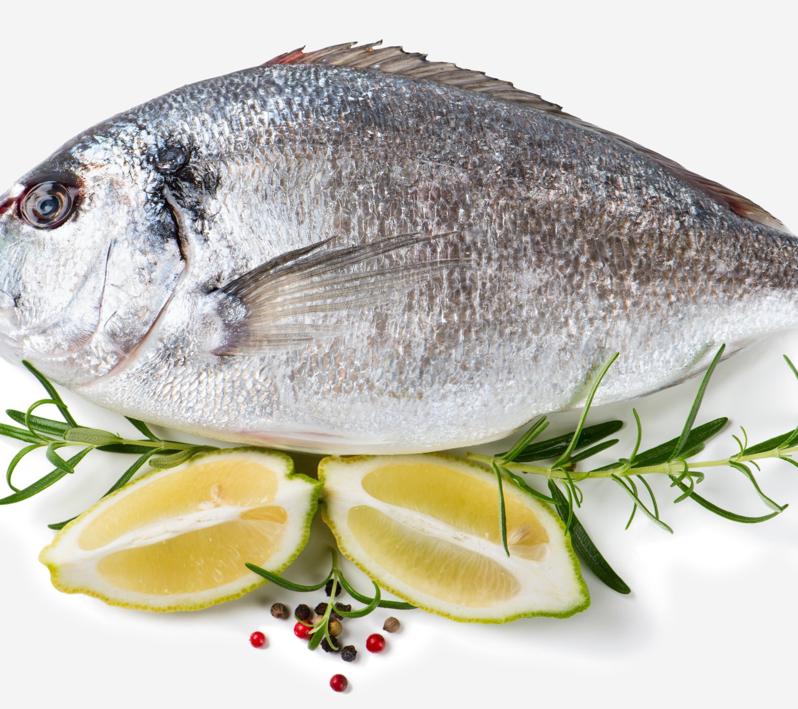 Fisch_und_Flamme_Web-Quer