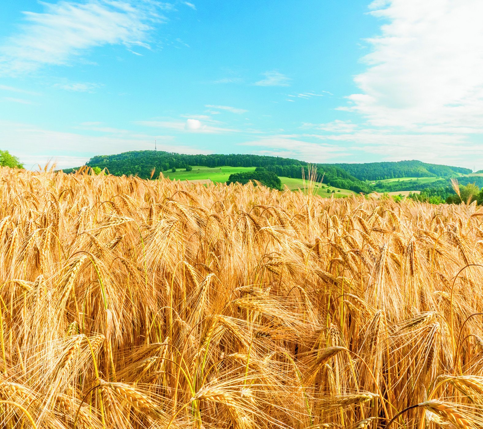 Block im gespraech header Landschaft