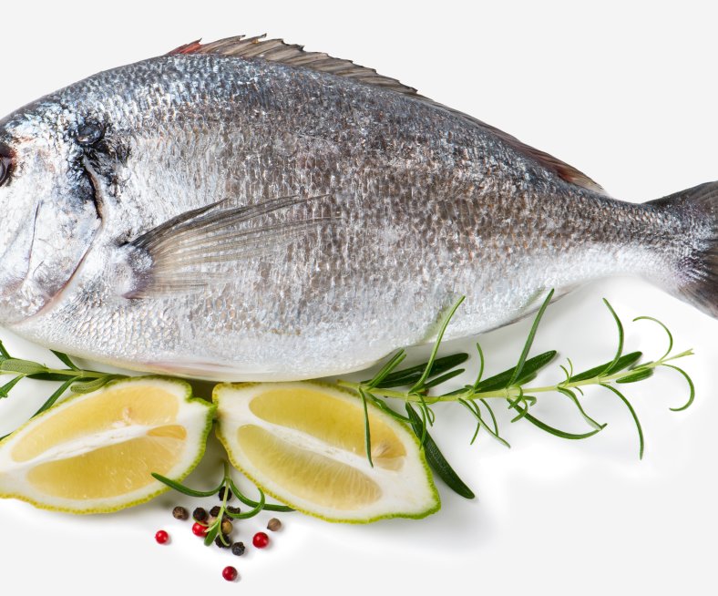 Fisch_und_Flamme_Web-Quer