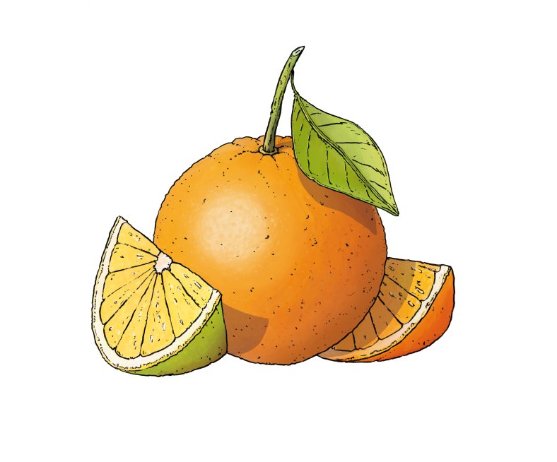 AmuseBouche_Orange