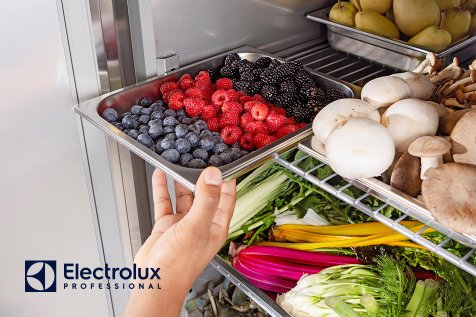 Lieferantenindex, electrolux professional b 1, Pistor Plus