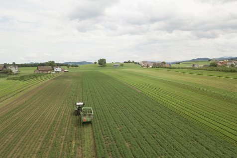 Lieferantenindex, holderhof b 1, Pistor Plus